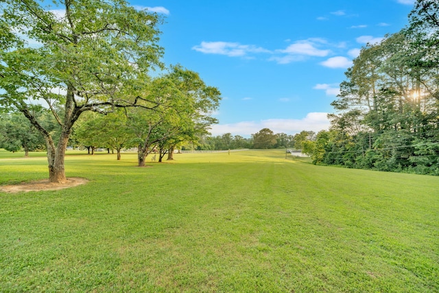 1216 Winding Dr, Sevierville, TN 37876 - surrounding community featuring a yard and view of scattered trees