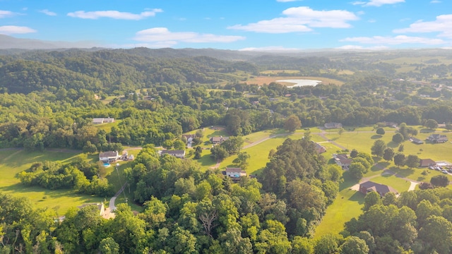 1216 Winding Dr, Sevierville, TN 37876 - aerial view of property and surrounding area featuring a forest