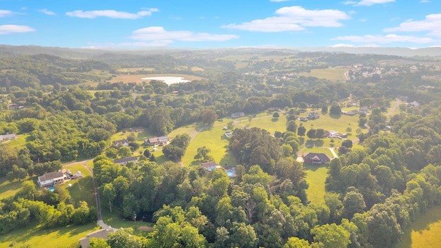 1216 Winding Dr, Sevierville, TN 37876 - aerial view of a heavily wooded area
