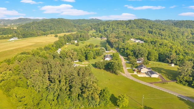 1216 Winding Dr, Sevierville, TN 37876 - view of property location featuring a heavily wooded area
