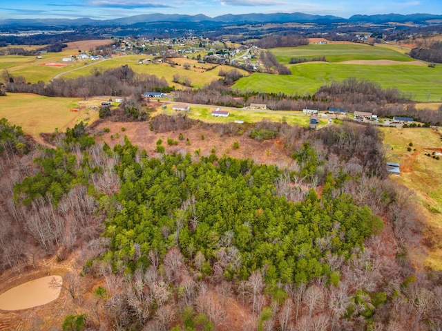 drone / aerial view featuring a mountain view