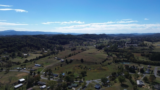 birds eye view of property with a mountain view