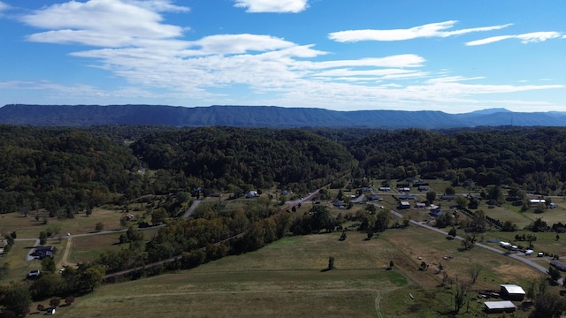 drone / aerial view featuring a mountain view