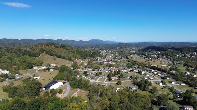 birds eye view of property with a mountain view