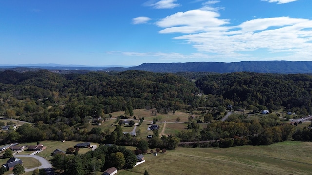 birds eye view of property featuring a mountain view