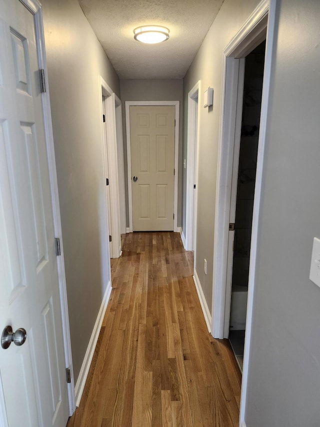 hallway with light wood-type flooring and a textured ceiling