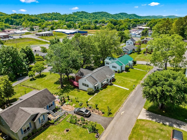 436 Mcminn St, Rogersville, TN 37857 - photo 43