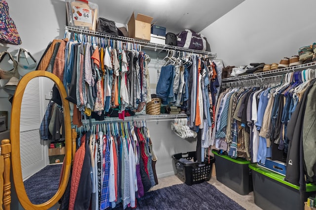1116 Patterson St, Dandridge, TN 37725 - spacious closet featuring vaulted ceiling and carpet flooring
