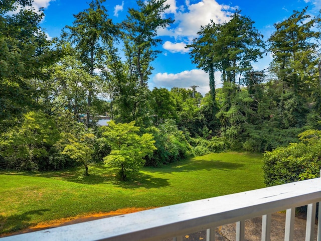 1116 Patterson St, Dandridge, TN 37725 - view of grassy yard