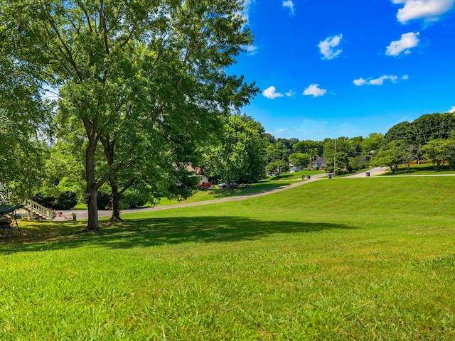 1116 Patterson St, Dandridge, TN 37725 - view of home's community featuring a lawn and view of wooded area