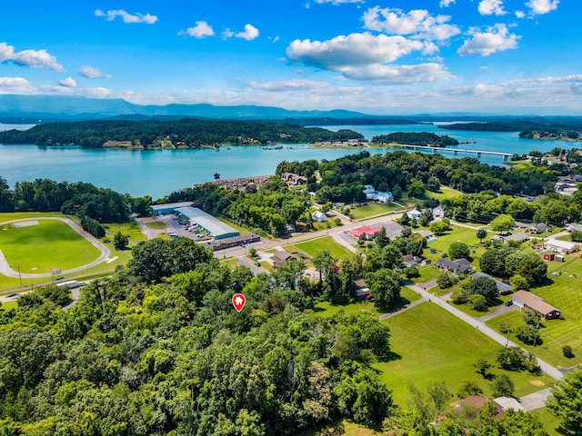 1116 Patterson St, Dandridge, TN 37725 - bird's eye view of a large body of water