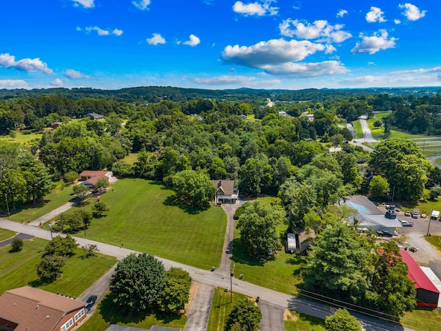 1116 Patterson St, Dandridge, TN 37725 - drone / aerial view of a forest