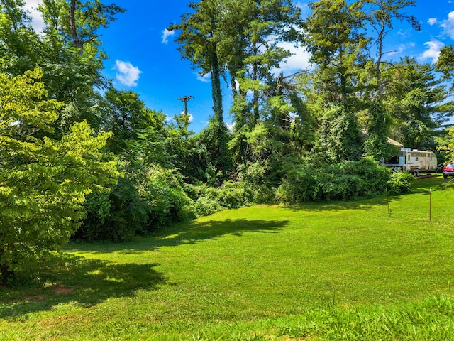1116 Patterson St, Dandridge, TN 37725 - view of green lawn