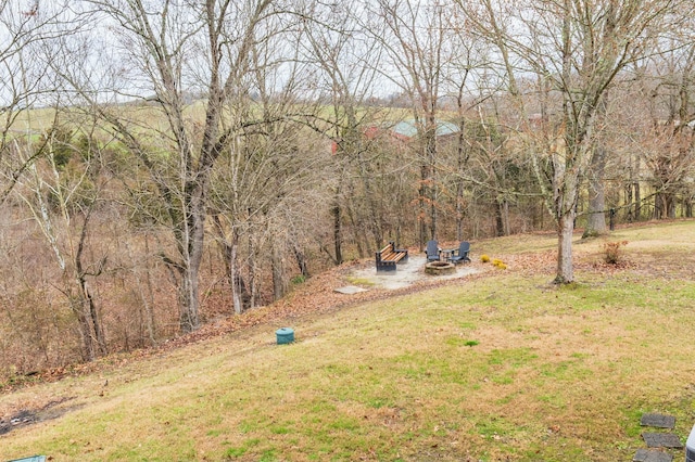 view of yard with a patio area