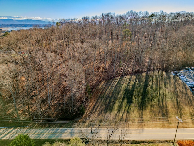 Listing photo 2 for LOT11 Gay St, Dandridge TN 37725