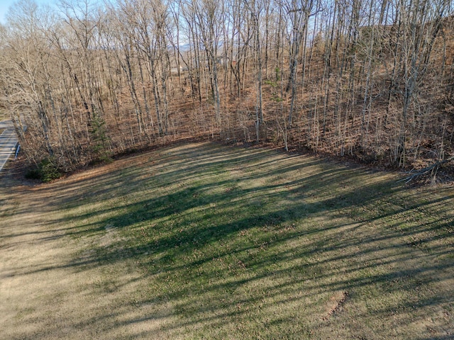 Listing photo 3 for LOT11 Gay St, Dandridge TN 37725