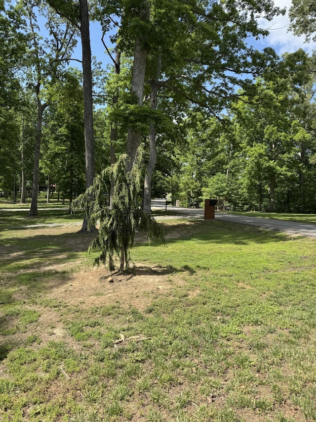 view of grassy yard