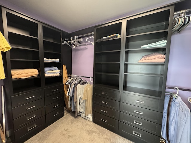 walk in closet with carpet flooring