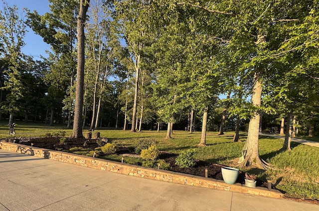 view of property's community with a yard and view of wooded area