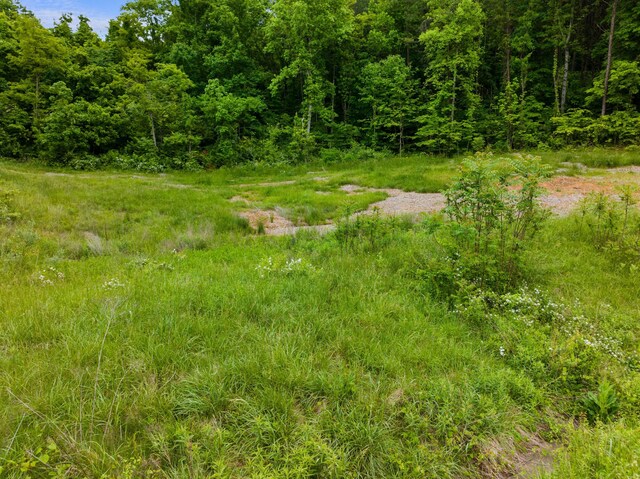 0 S Liberty Hill Rd, Morristown, TN 37814 - photo 11
