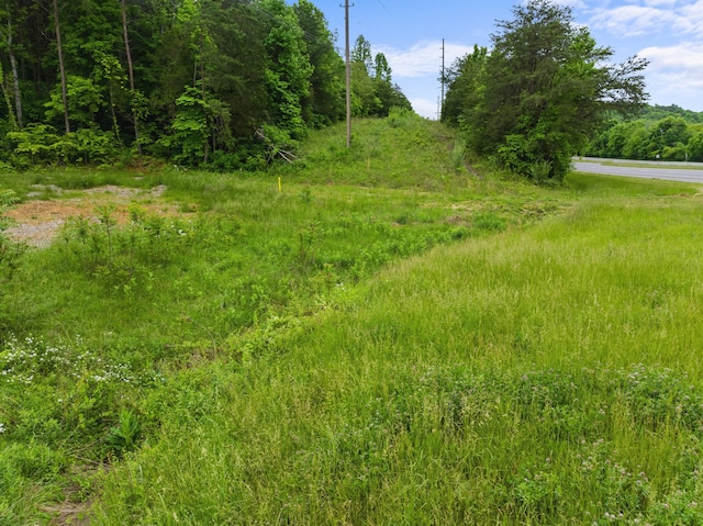 0 S Liberty Hill Rd, Morristown, TN 37814 - photo 10