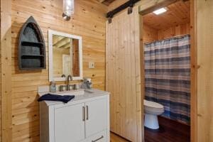 bathroom featuring toilet, a shower with curtain, wooden walls, and vanity