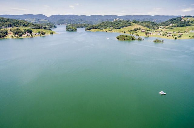 water view featuring a mountain view