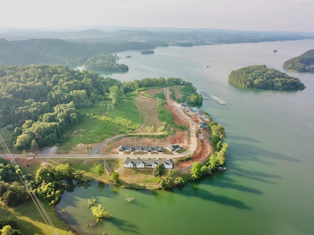 162 Lakeshore Bay Dr, Jefferson City, TN 37760 - photo 25