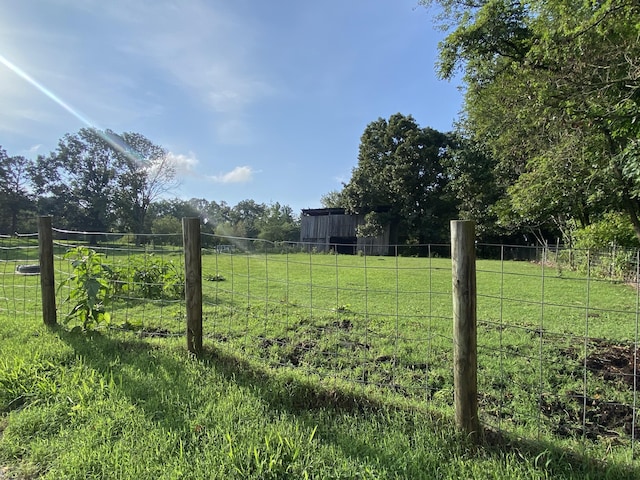 view of yard with a rural view