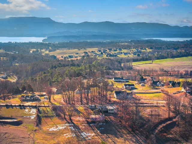 birds eye view of property with a mountain view