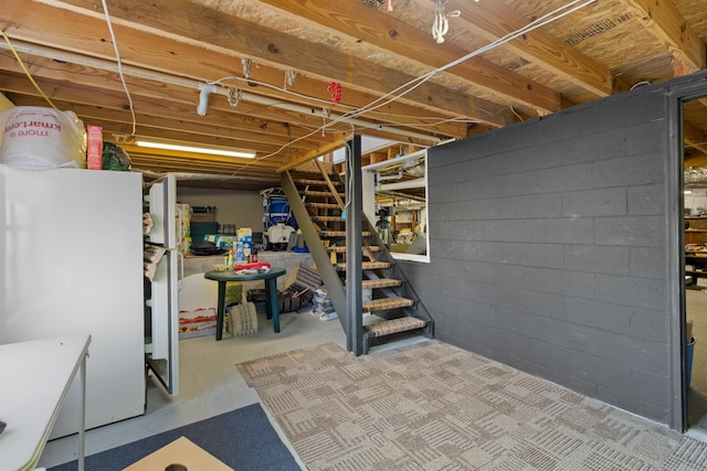 basement with white fridge