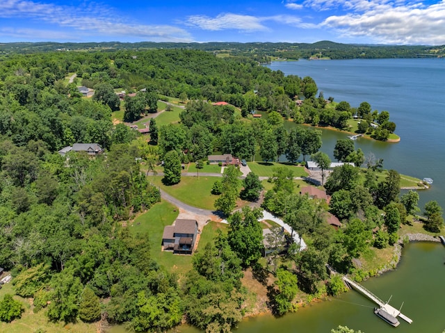 birds eye view of property with a forest view and a water view