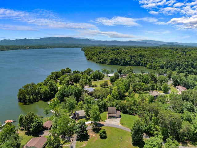 drone / aerial view with a wooded view and a water and mountain view