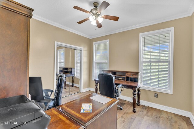 3017 Hardy Rd, White Pine, TN 37890 - photo 15