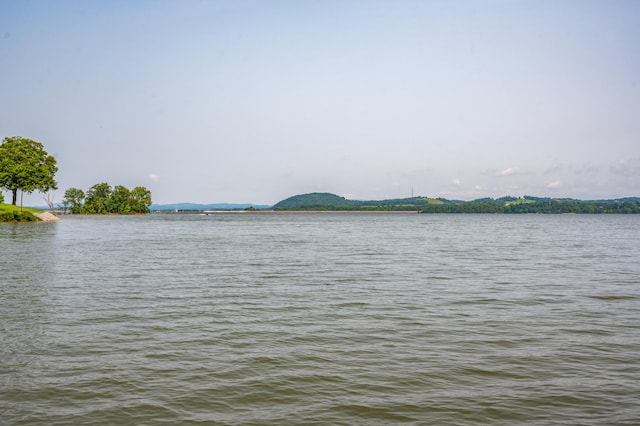 660 Heather Brook Cir, Jefferson City, TN 37760 - photo 84