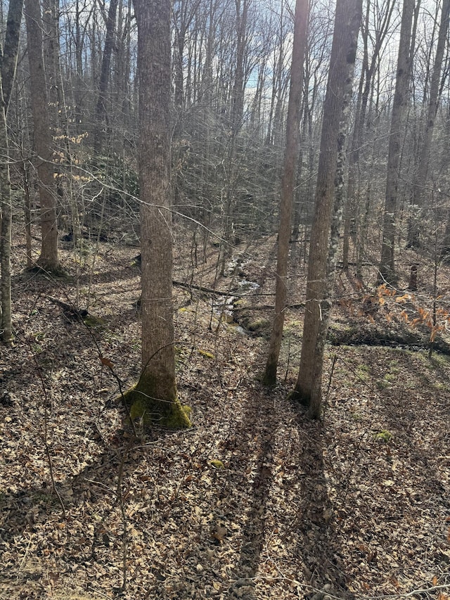 Listing photo 3 for LOT27 Pinnacle Vista Rd, Gatlinburg TN 37738