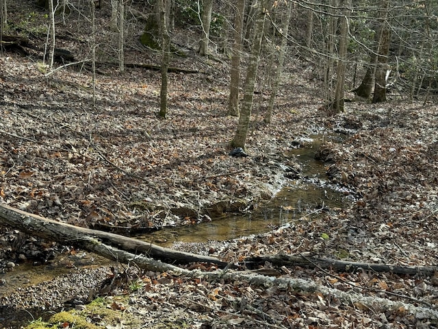 Listing photo 2 for LOT27 Pinnacle Vista Rd, Gatlinburg TN 37738