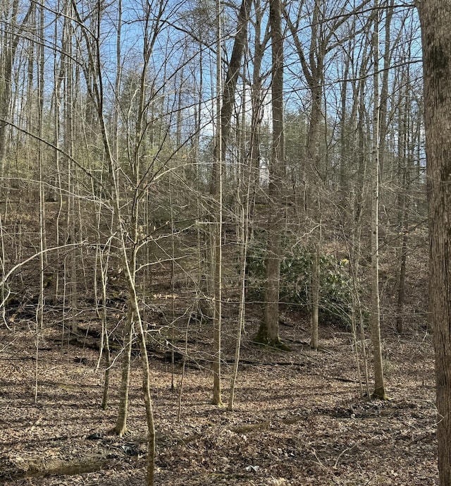 LOT27 Pinnacle Vista Rd, Gatlinburg TN, 37738 land for sale