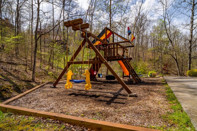 view of jungle gym