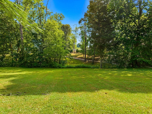 4959 Brights Pike, Morristown, TN 37814 - photo 29