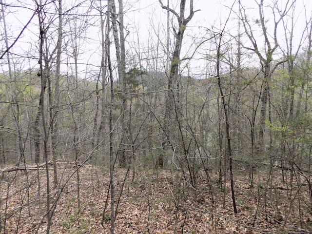 PAR001.08 Mountain Shadow Way, Cosby TN, 37722 land for sale