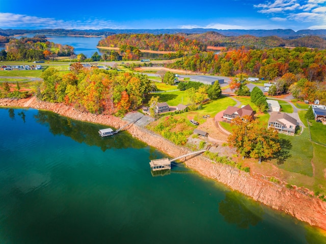 drone / aerial view with a water and mountain view