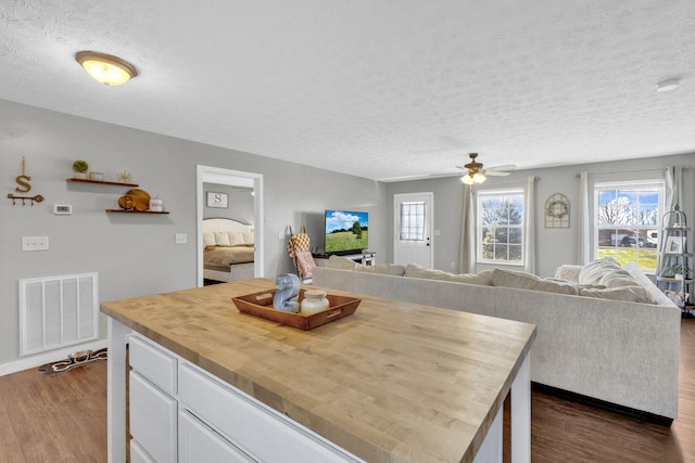 dining space with a ceiling fan, visible vents, dark wood finished floors, and a textured ceiling