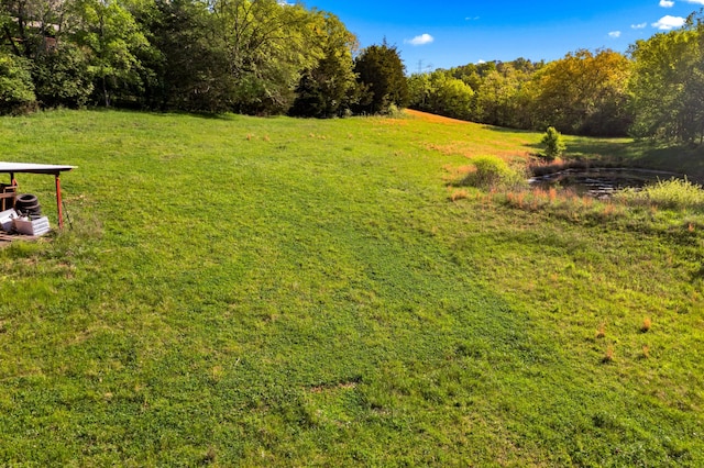 2757 Bethel Rd, Morristown, TN 37813 - view of green lawn with a forest view