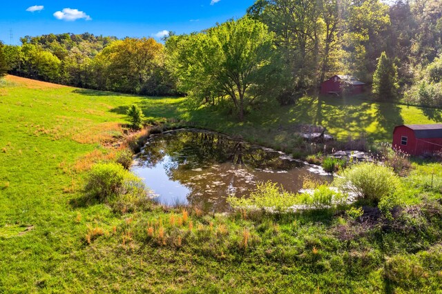 2757 Bethel Rd, Morristown, TN 37813 - view of grassy yard with an outbuilding and a forest view