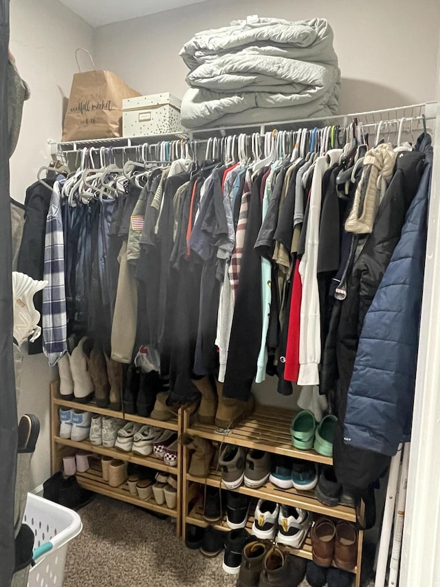 spacious closet featuring carpet
