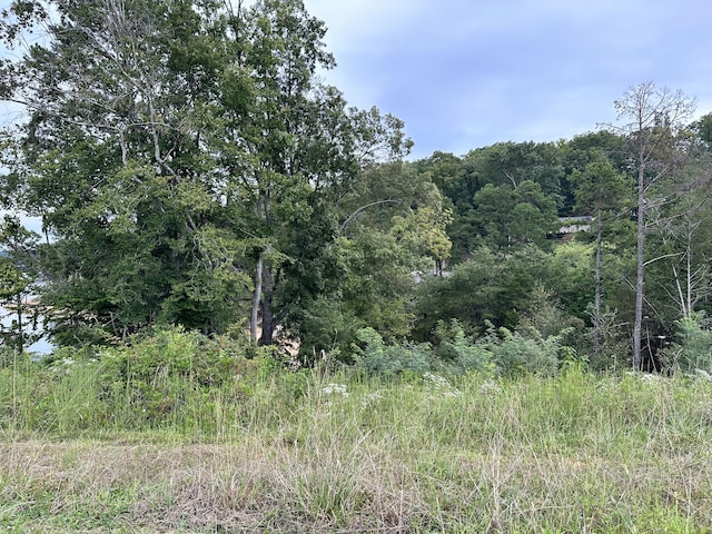 LOT147 Bridgewater Blvd, Morristown TN, 37814 land for sale