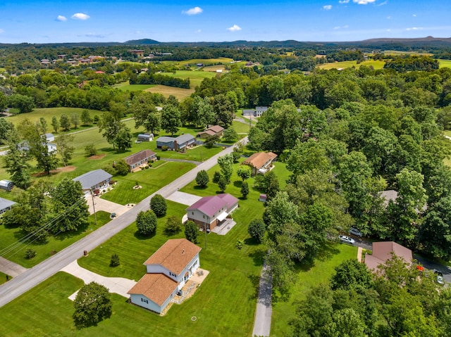 1692 Old Shiloh Rd, Greeneville, TN 37745 - photo 35