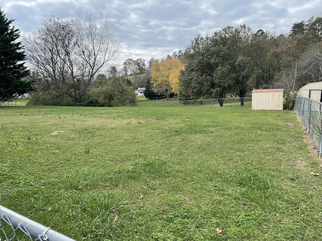 view of yard featuring a storage shed