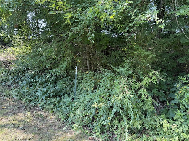 LOT74 Early Morning Ln, Dandridge, TN 37725
